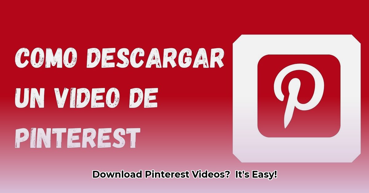 descargador-de-videos-de-pinterest